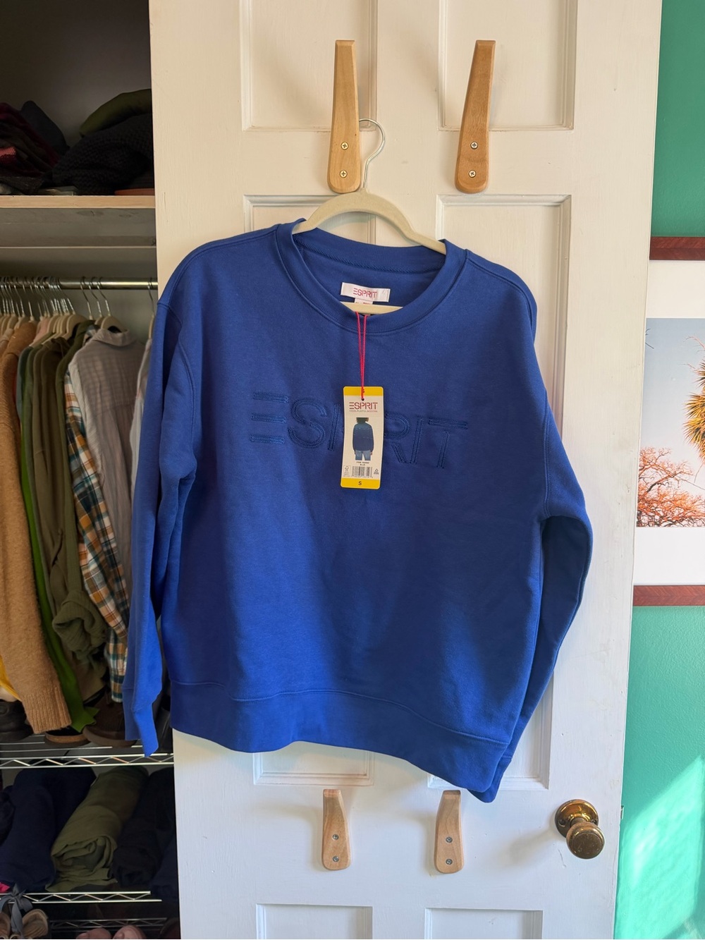 Esprit Men's Crewneck Sweatshirt in Cobalt Blue